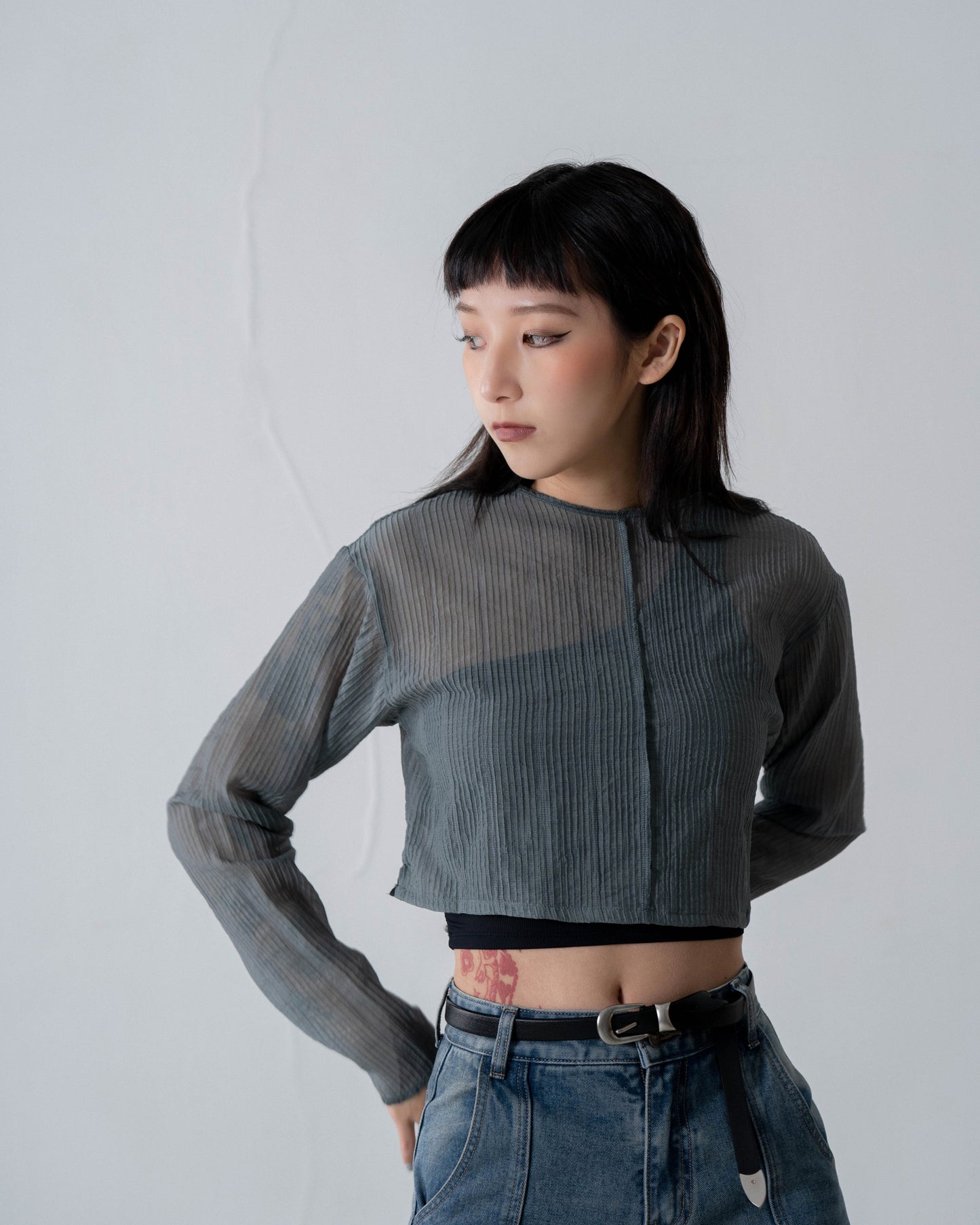 
                  
                    Long Sleeve Tulle Cropped Top Slate Blue【L24-08BL】
                  
                